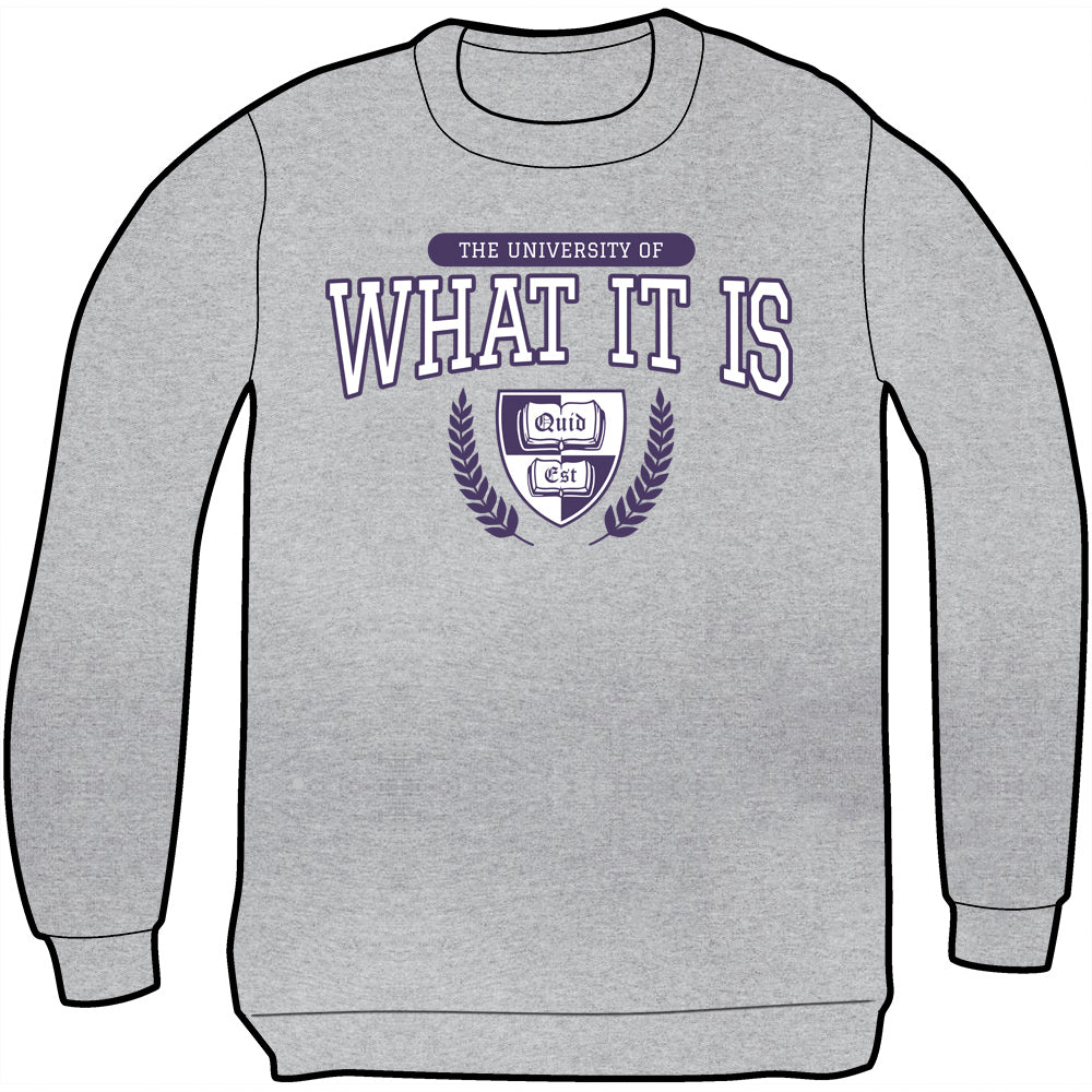 The University of What It Is Sweatshirt Shirts Brunetto   