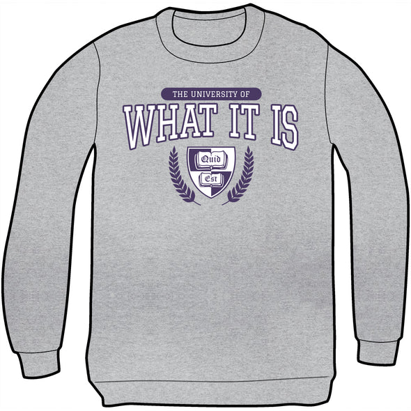The University of What It Is Sweatshirt Shirts Welcome to Night Vale