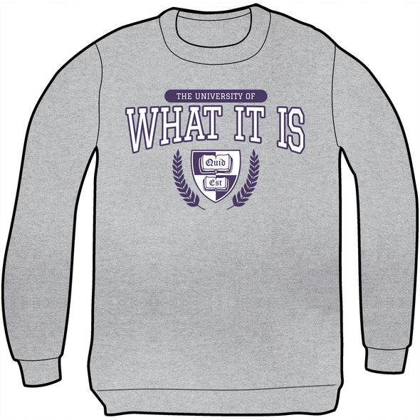 The University of What It Is Sweatshirt Shirts Brunetto   