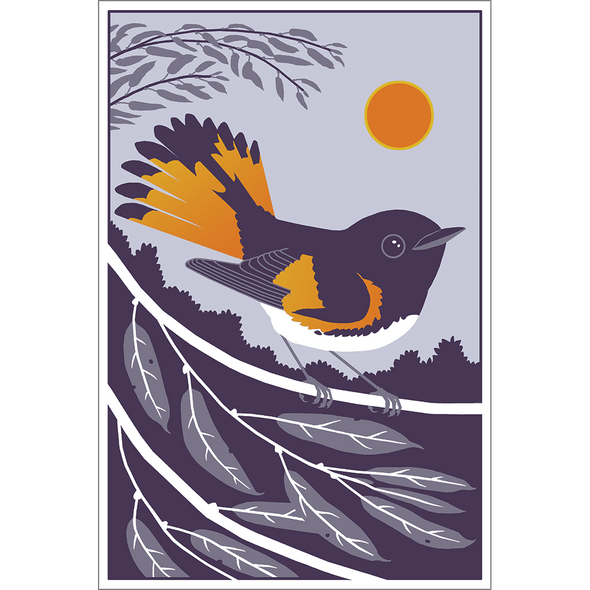 Beautiful Birds Poster Four-Pack Art Bird & Moon