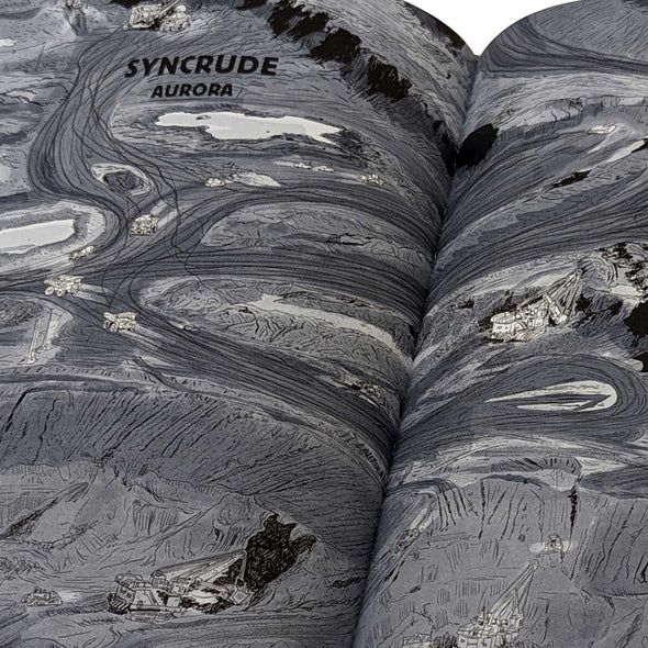 Ducks: Two Years in the Oil Sands Books Kate Beaton