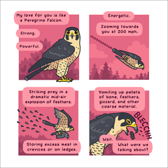 Bird and Moon Comic Prints Art Cyberduds Flappy Valentine 12x12"  