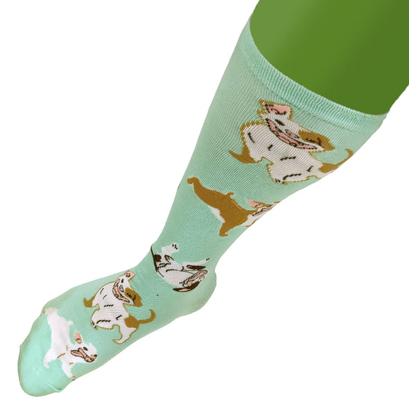 Pibble Foot Socks Other Apparel Kory Bing
