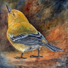 Wondrous Wildlife Prints Art Cyberduds Pine Warbler - 12x2 ($12)  