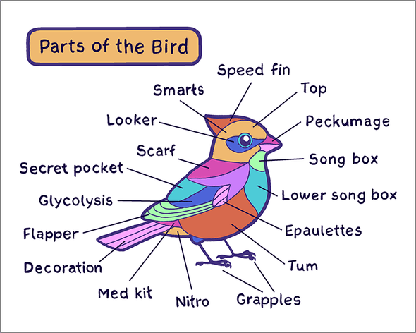 Bird Parts Print Art Cyberduds   