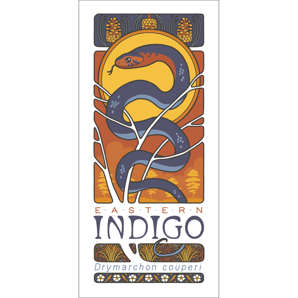 Eastern Indigo Snake Print Art Cyberduds   