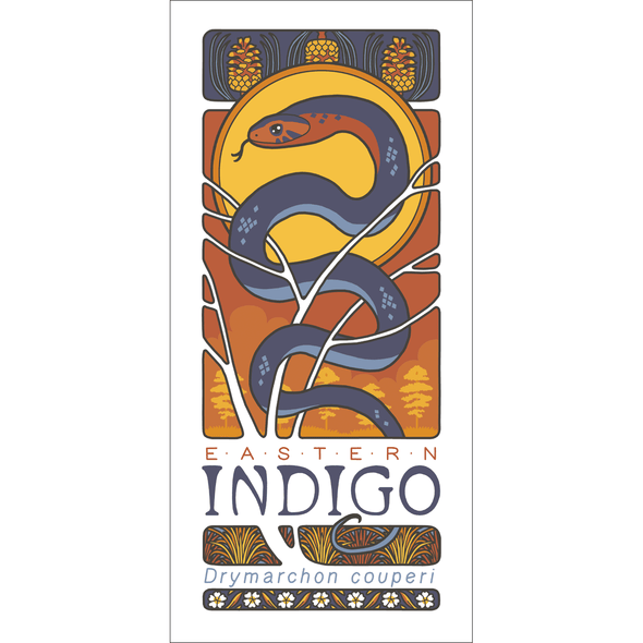 Eastern Indigo Snake Print by Rosemary Mosco Art Bird & Moon