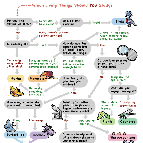 What Living Things Should YOU Study? Print Art Bird and Moon