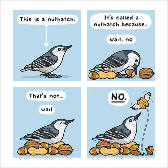 Nuthatch Secrets Print Art Bird & Moon