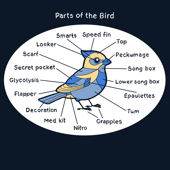 Bird Parts Shirt Shirts Brunetto   