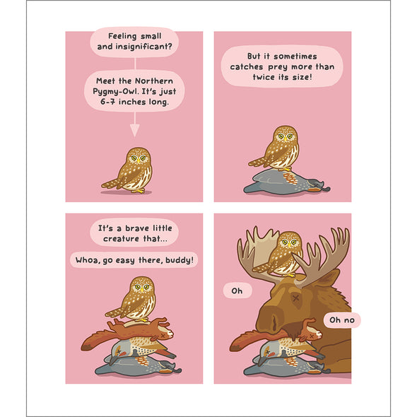 Inspiring Owl Print Art Bird & Moon