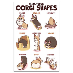 Know Your Corgi Shapes Shirts and Posters Shirts Brunetto 11x17 Poster Print  