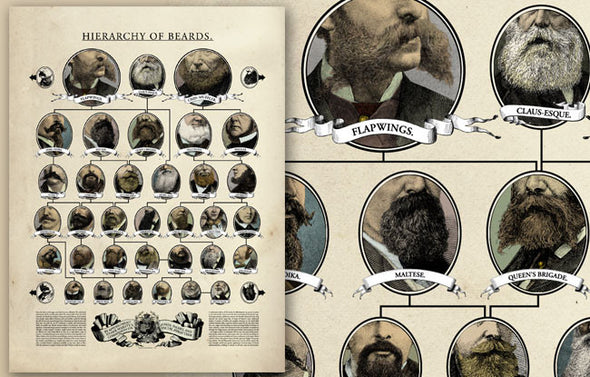 Hierarchy of Beards Poster Art Wondermark