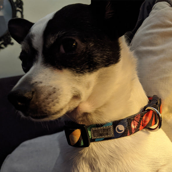 WTNV Adopt Don't Summon Pet Collar Accessories Welcome to Night Vale
