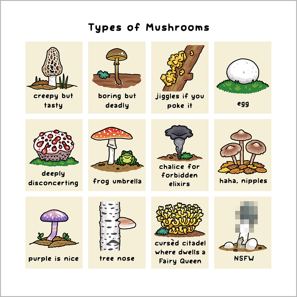 Bird and Moon Comic Prints Art Bird and Moon Types of Mushrooms 12x12"