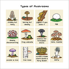 Bird and Moon Comic Prints Art Bird and Moon Types of Mushrooms 12x12"