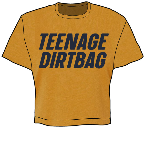 Teenage Dirtbag Crop Top Shirts & Tops Wheatus