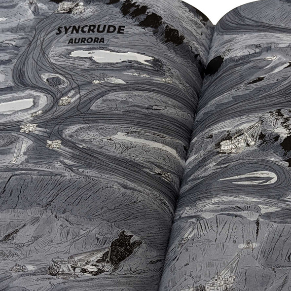 Ducks: Two Years in the Oil Sands Books wholelsale   