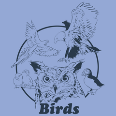 Birds Shirt Shirts Brunetto   