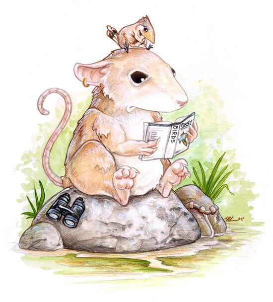 Cool Rodents Prints Art Cyberduds Birder Mouse - 9x12 ($10)  