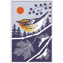 Beautiful Birds Poster Four-Pack Art Cyberduds   