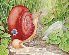 Small Things Prints Art Cyberduds Darwin Snail - 11x14 ($12)  
