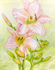 Fabulous Frogs Prints Art Cyberduds Frog and Lilies - 12x16 ($14)  