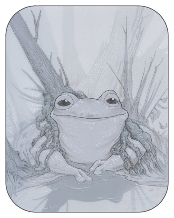 Fabulous Frogs Prints Art Cyberduds Frog Pond - 12x16 ($14)  