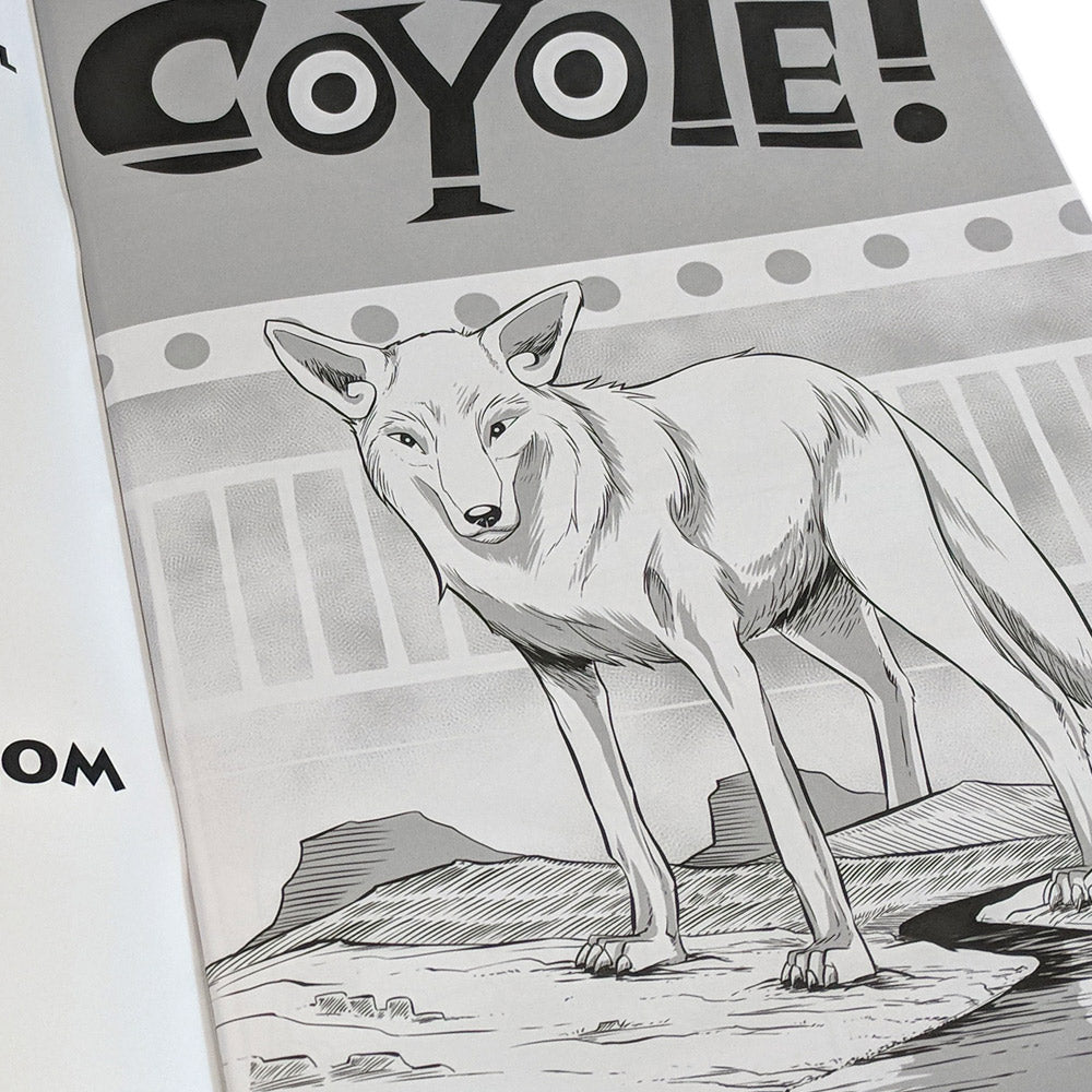 Coyote! A Story from Beyond the Walls Books GK   