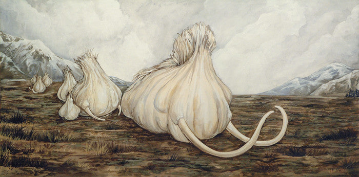 Weird Fruit Prints Art Cyberduds Mammoth Garlic - 18x9 ($14)  