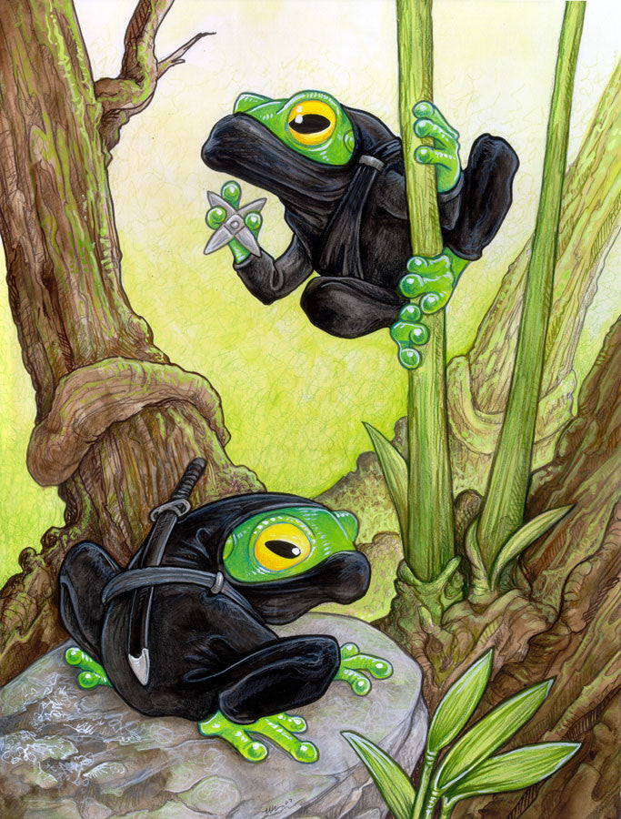Fabulous Frogs Prints Art Cyberduds Ninja Frog - 12x16 ($14)  