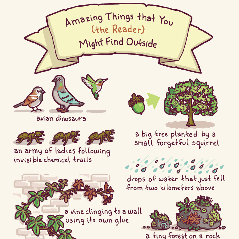 Might finding