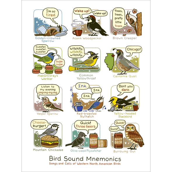 Bird Sound Mnemonics Print (Western) Art Cyberduds   