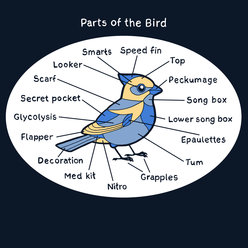 Bird Parts Shirt – TopatoCo