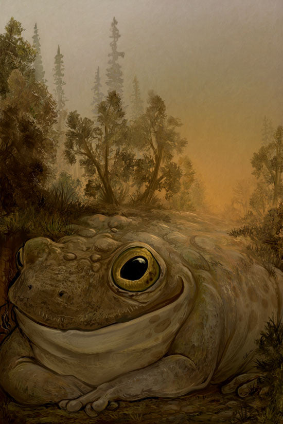 Fabulous Frogs Prints Art Cyberduds Toad Back - 12x18 ($16)  
