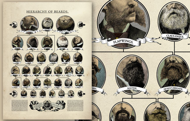 Hierarchy of Beards Poster (by Wondermark) Art Cyberduds   