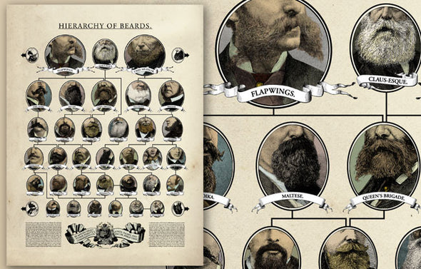 Hierarchy of Beards Poster (by Wondermark) Art Cyberduds   